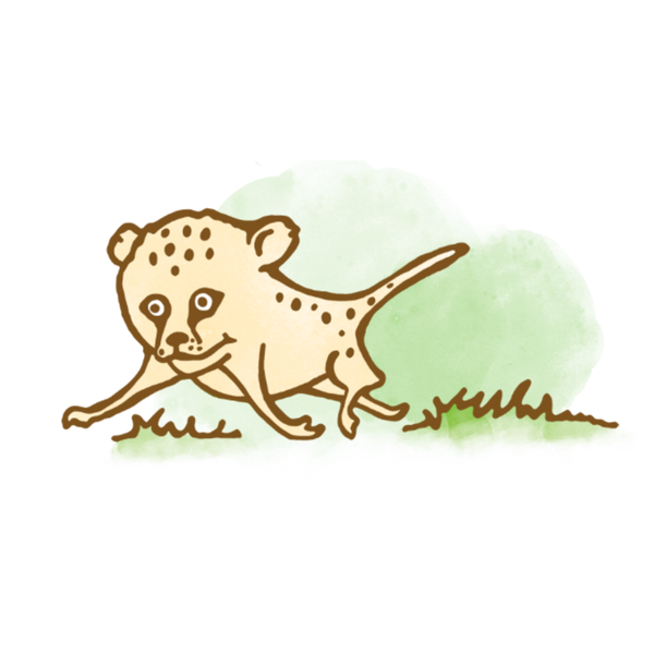 Stories with Animals