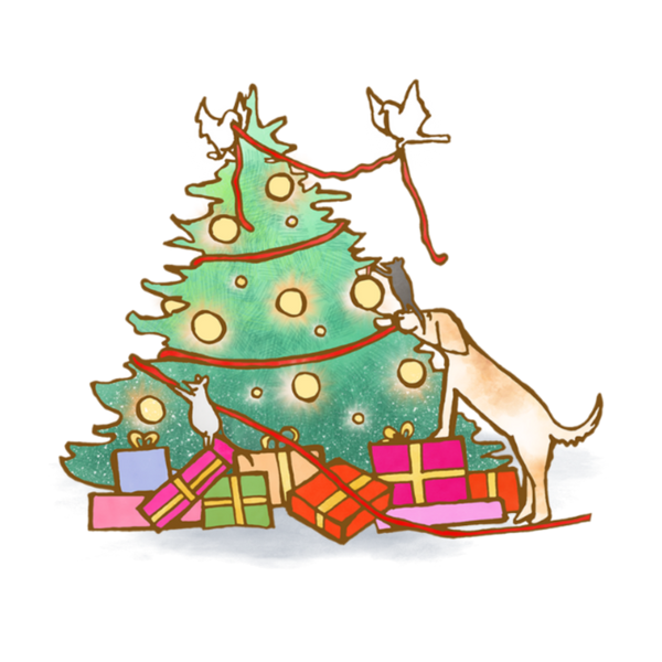 Christmas Collections