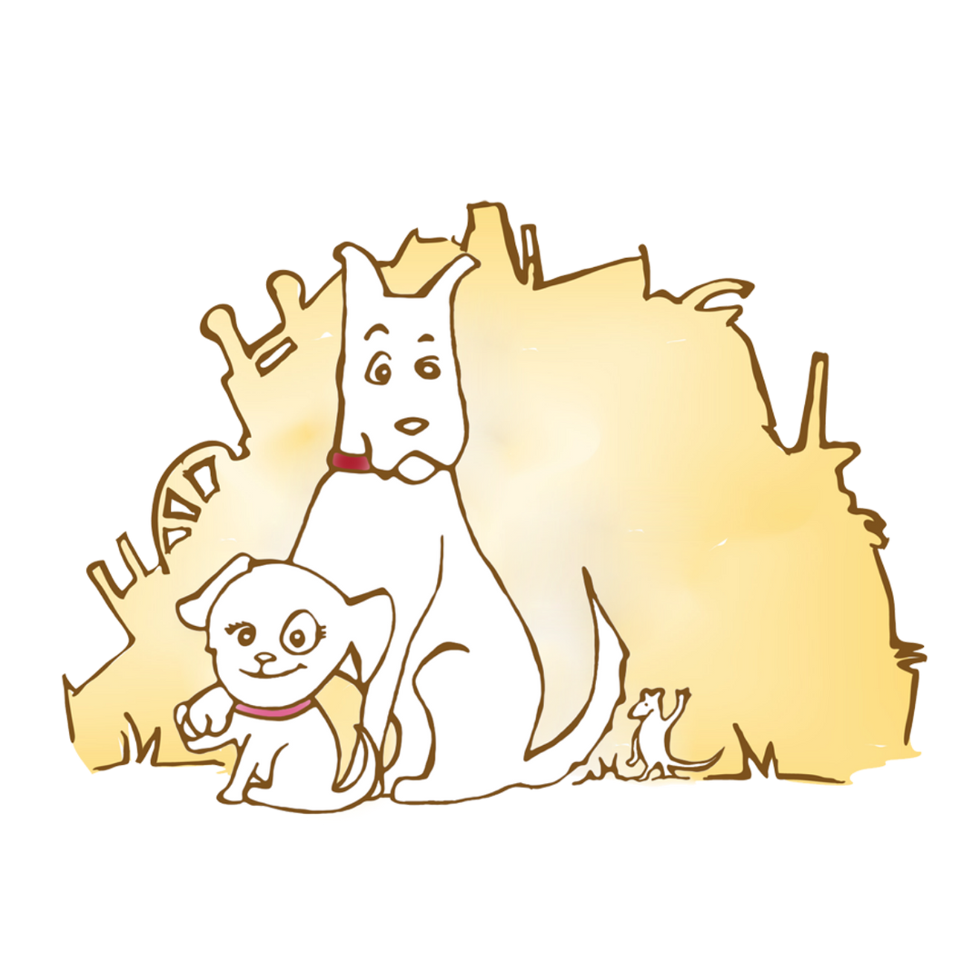 Junkyard Tales | Sparkle Stories