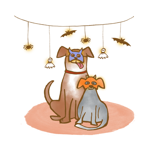 Libby & Dish | Sparkle Stories