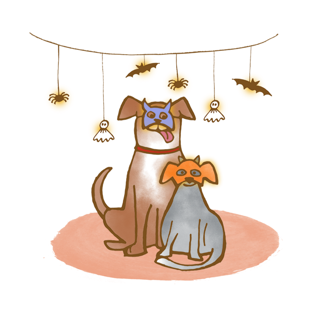 Libby & Dish | Sparkle Stories